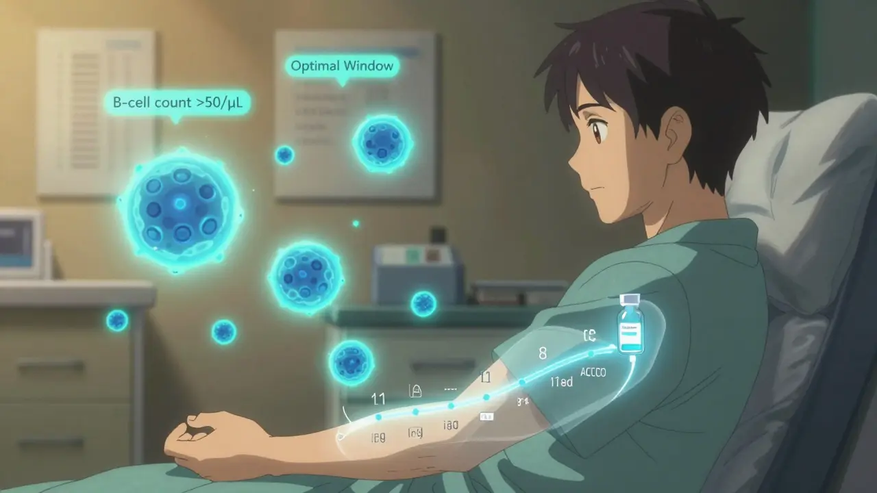 Vaccines and Medications: Timing With Immunosuppressants